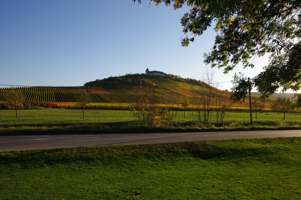 Michaelsberg/ Cleebronn Herbst 2013