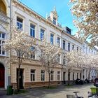 Michaelstraße in Bonn