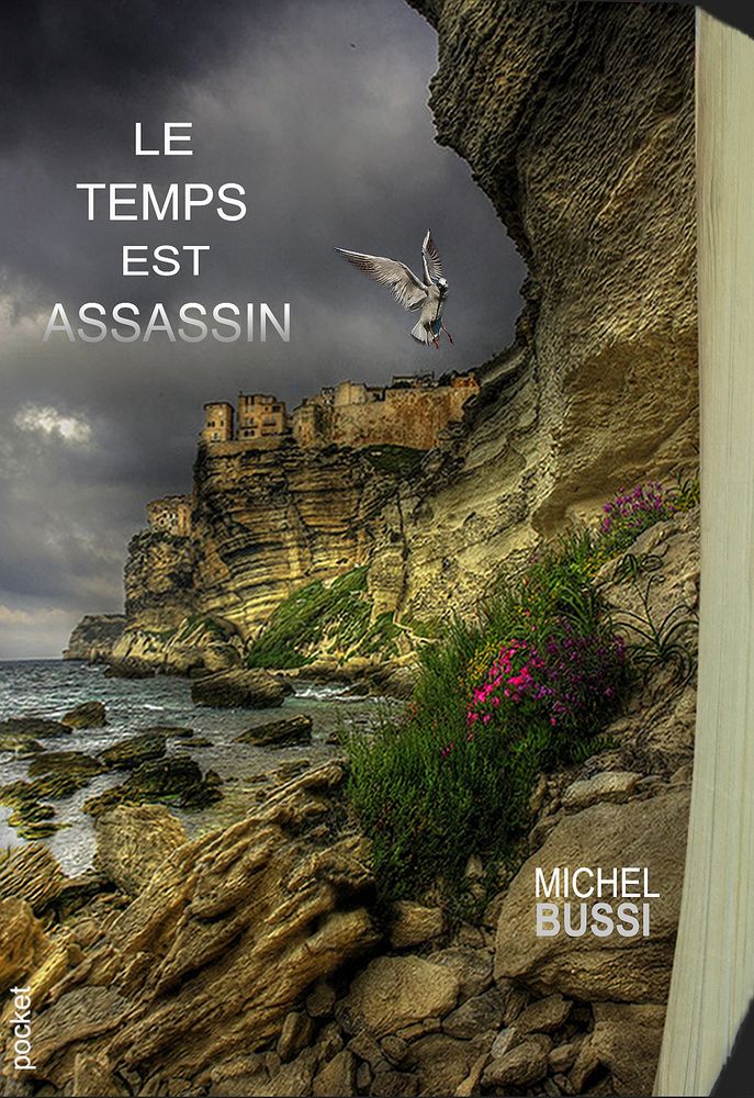 Michel Bussi - Le temps est assassin 