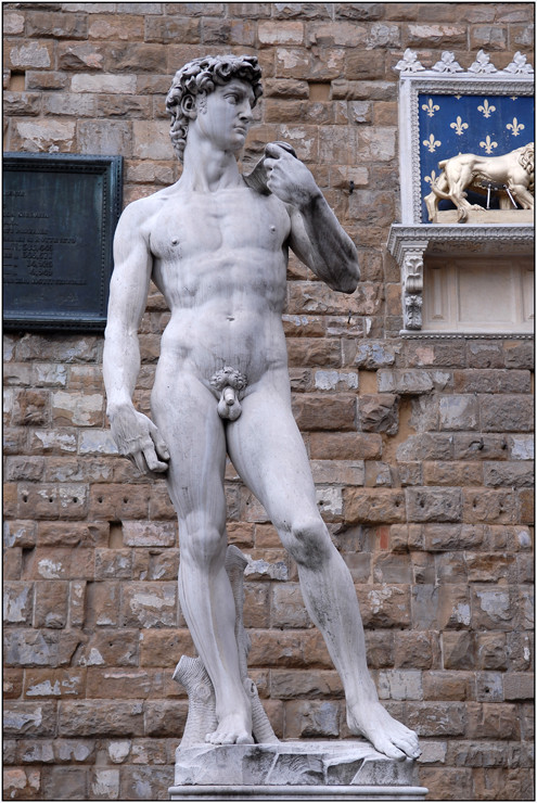 Michelangelo's David in Florenz