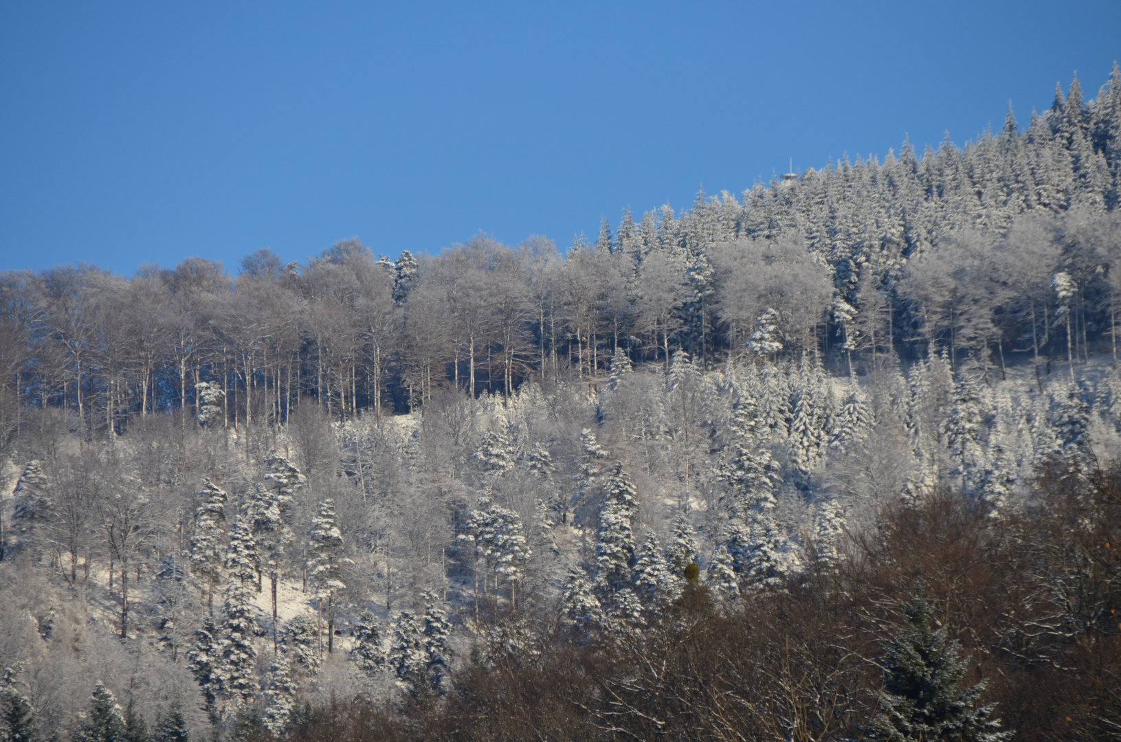 Michelbach am Wald 1