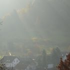 Michelbach im Nebel