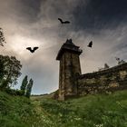 Michelfeldturm in Oberwesel-unheimlich