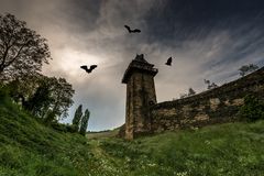 Michelfeldturm in Oberwesel-unheimlich