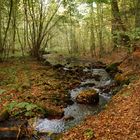 Michelherd im Odenwald