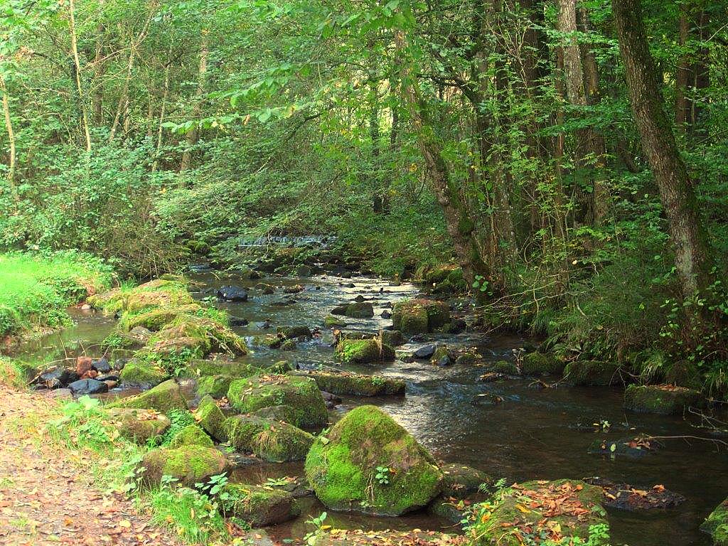 Michelherd im Odenwald