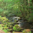 Michelherd im Odenwald