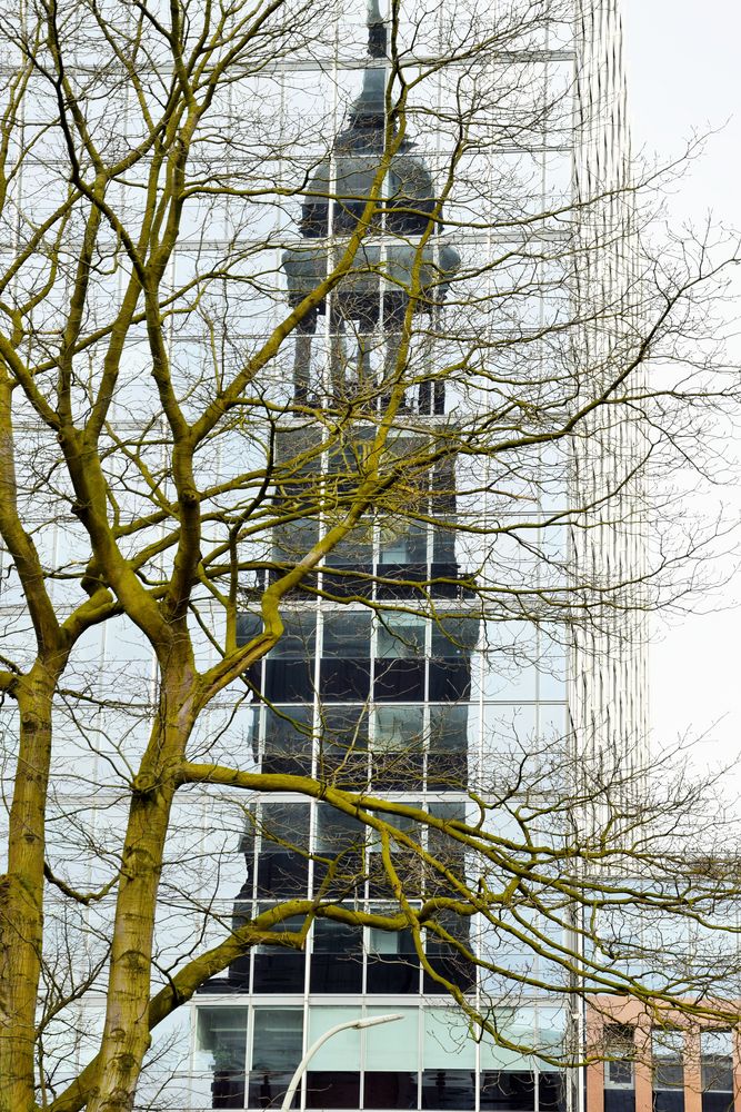 Michels spiegelbild mit Baum