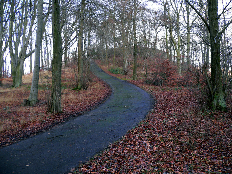 Michelsberg Bad Münstereifel-Mahlberg