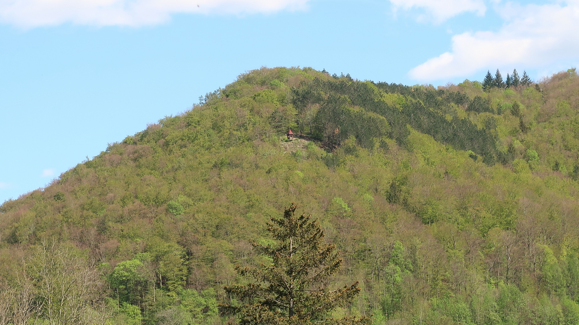 Michelskäppele Bad Urach