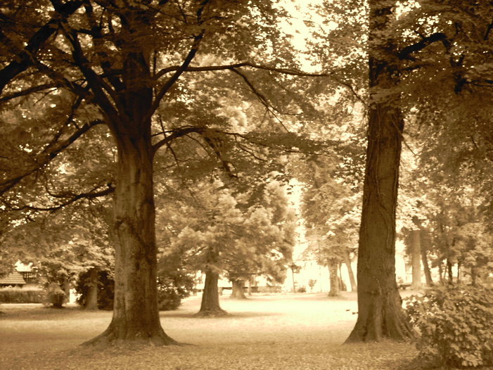 Michelstadt im September 2006