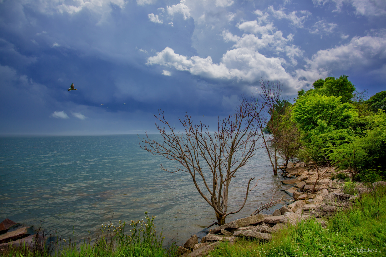 "Michigan Lake"