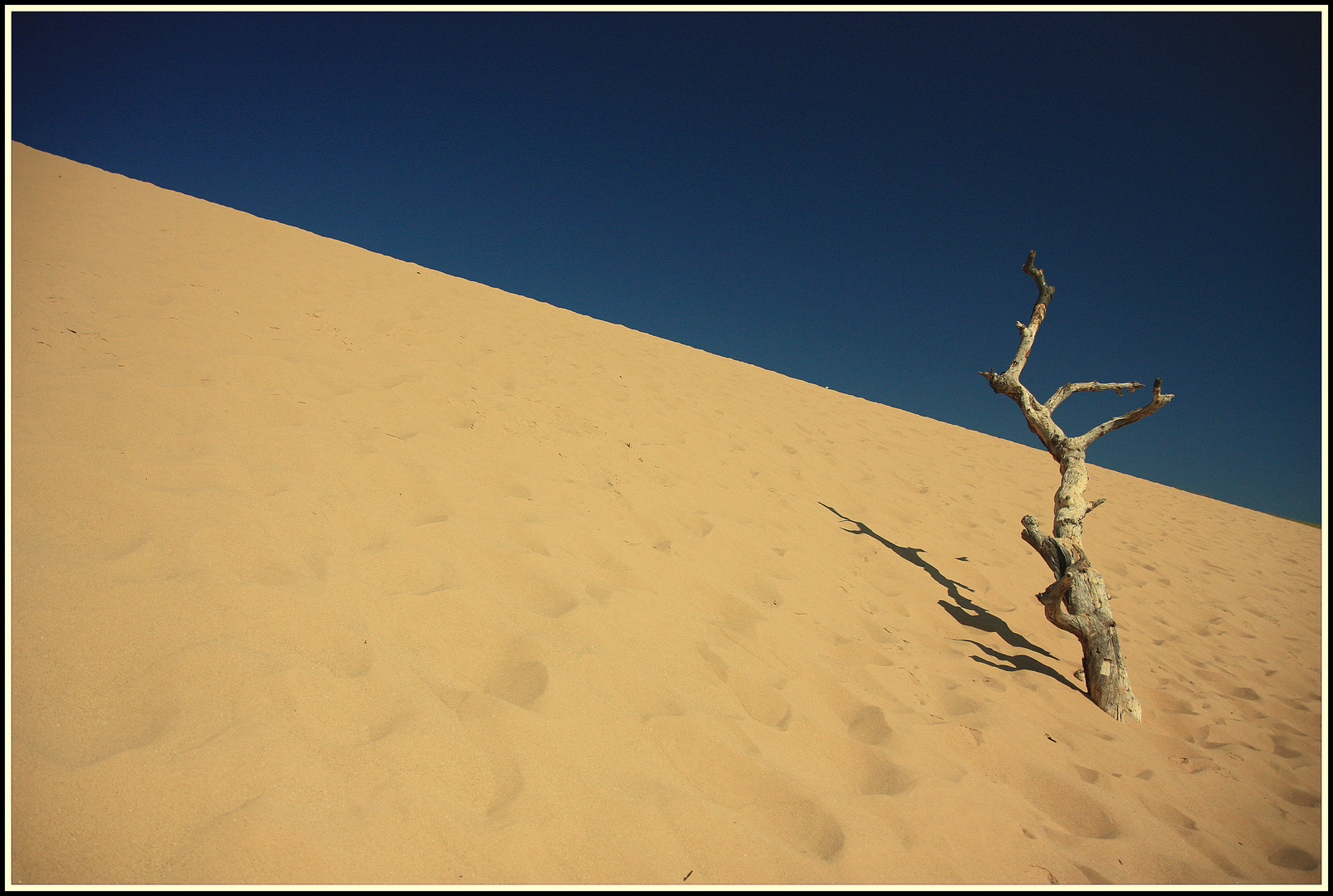 Michigan - Sleeping Bear Dunes