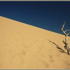 Michigan - Sleeping Bear Dunes