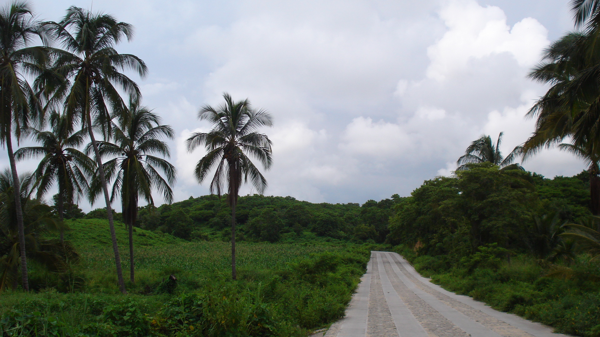 Michoacán/México