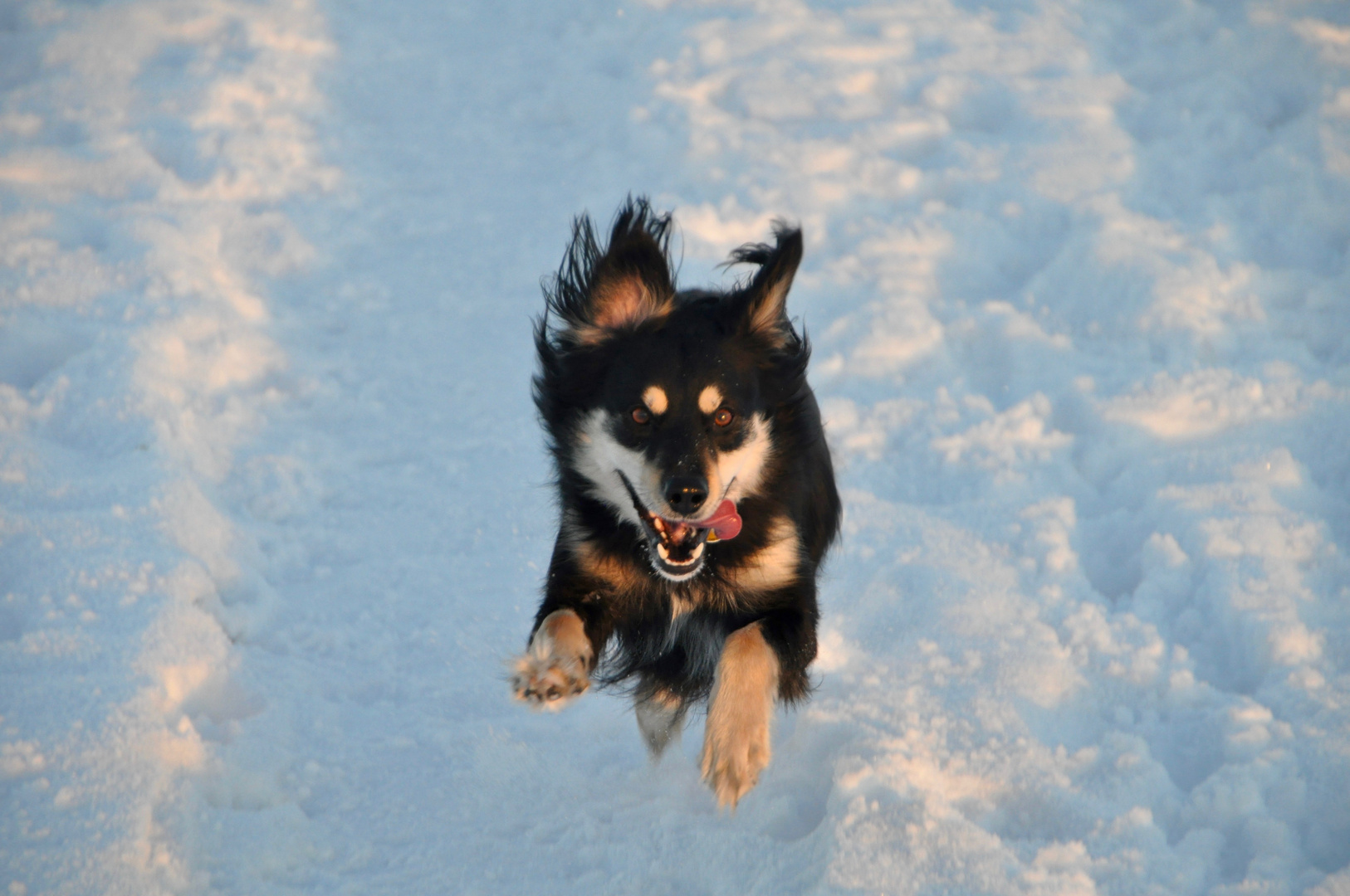 Mickey in the Snow