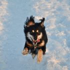 Mickey in the Snow