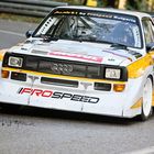 Mickhausen 2012 Prospeed Audi S1