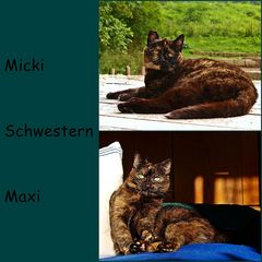 Micki / Maxi