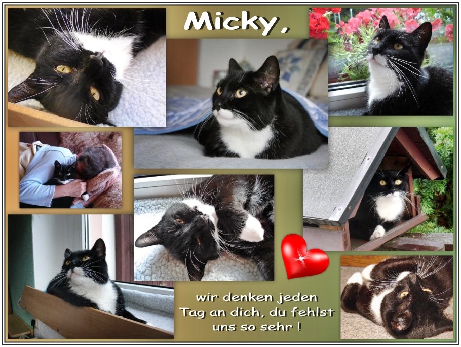 Micky, du fehlst uns so sehr!