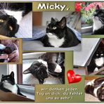 Micky, du fehlst uns so sehr!