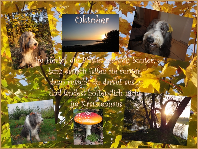 Mickys Oktober Collage