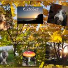 Mickys Oktober Collage