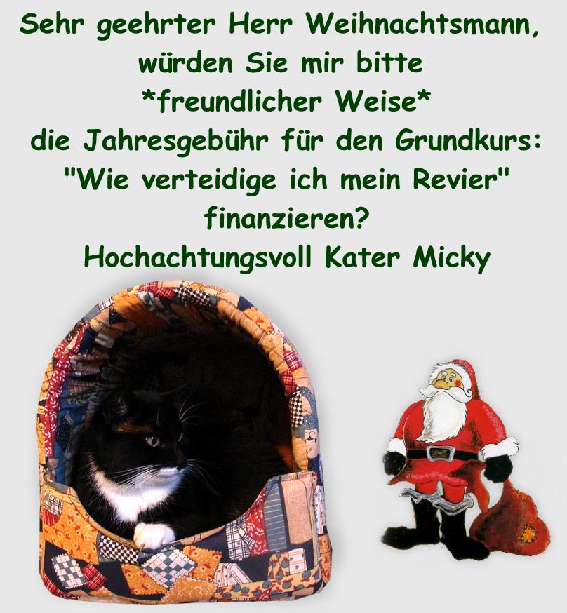 Mickys Wunschzettel