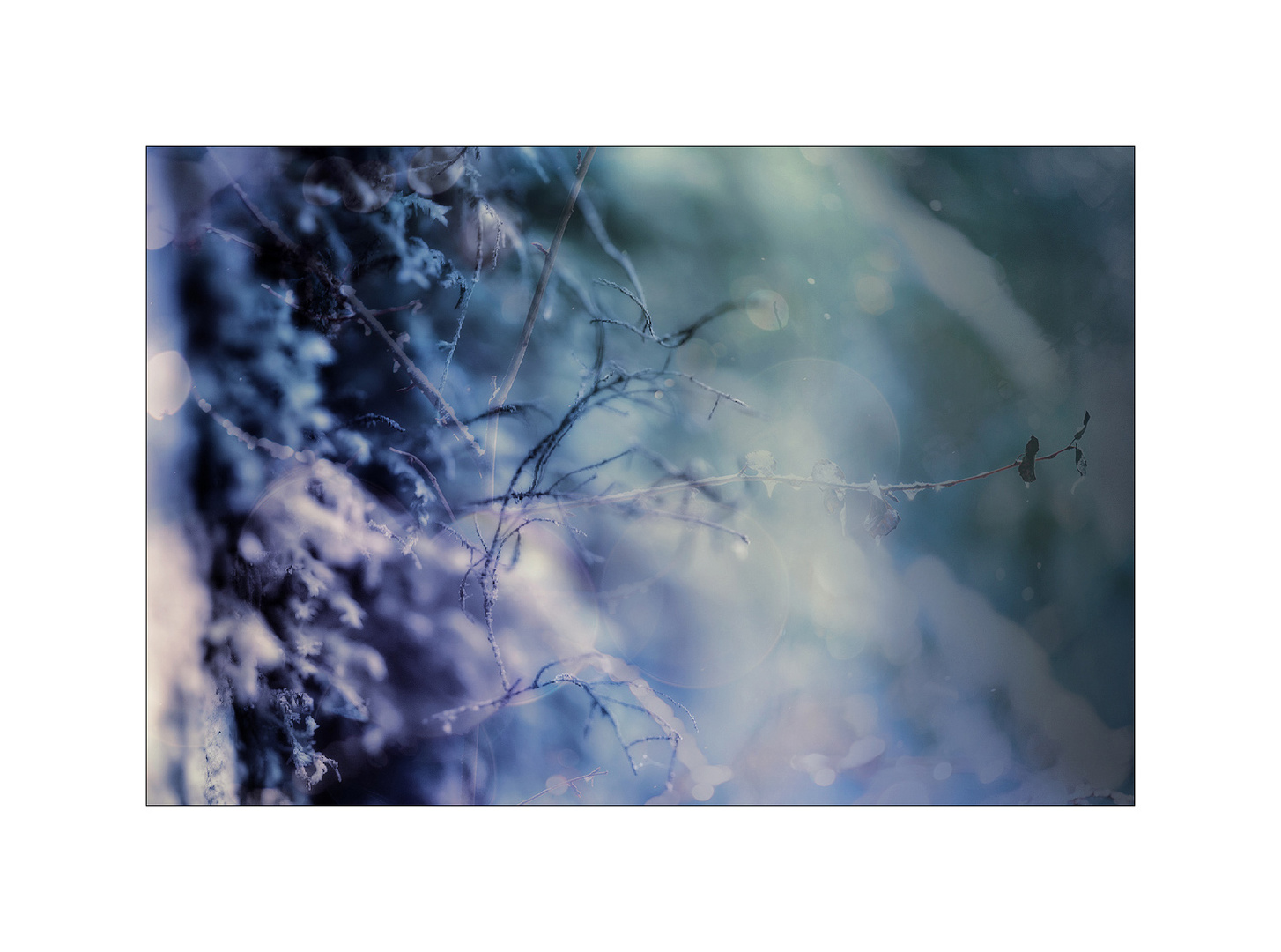 microcosmos Foto & Bild spezial, blau, composing Bilder auf