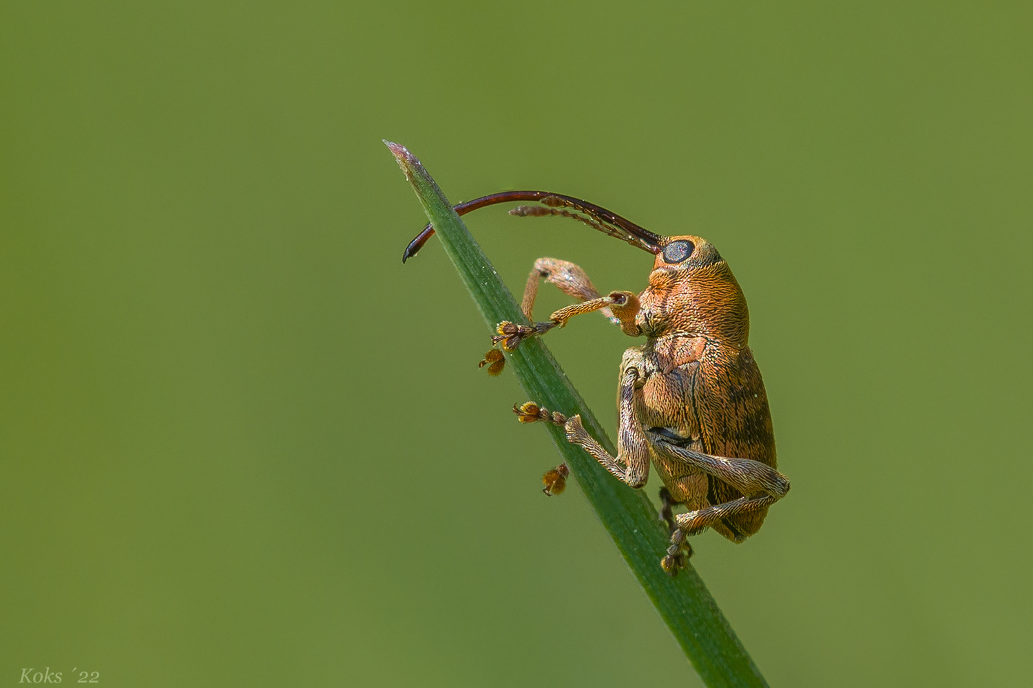 MicroMakroWelt