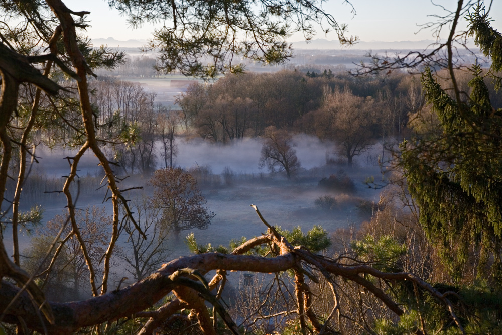 mid november morning