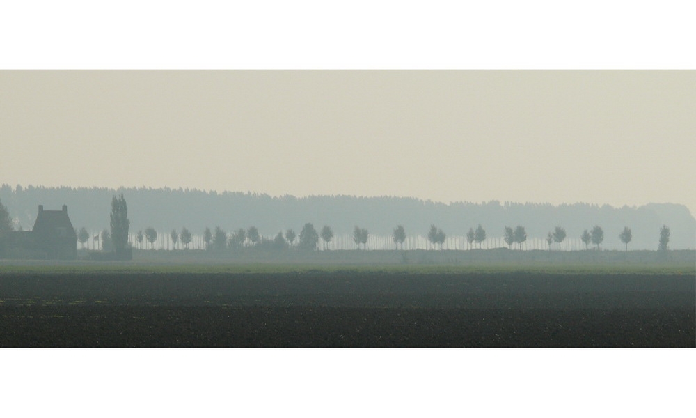 Midday fog (23.09.07) Zeeuws-Vlaanderen