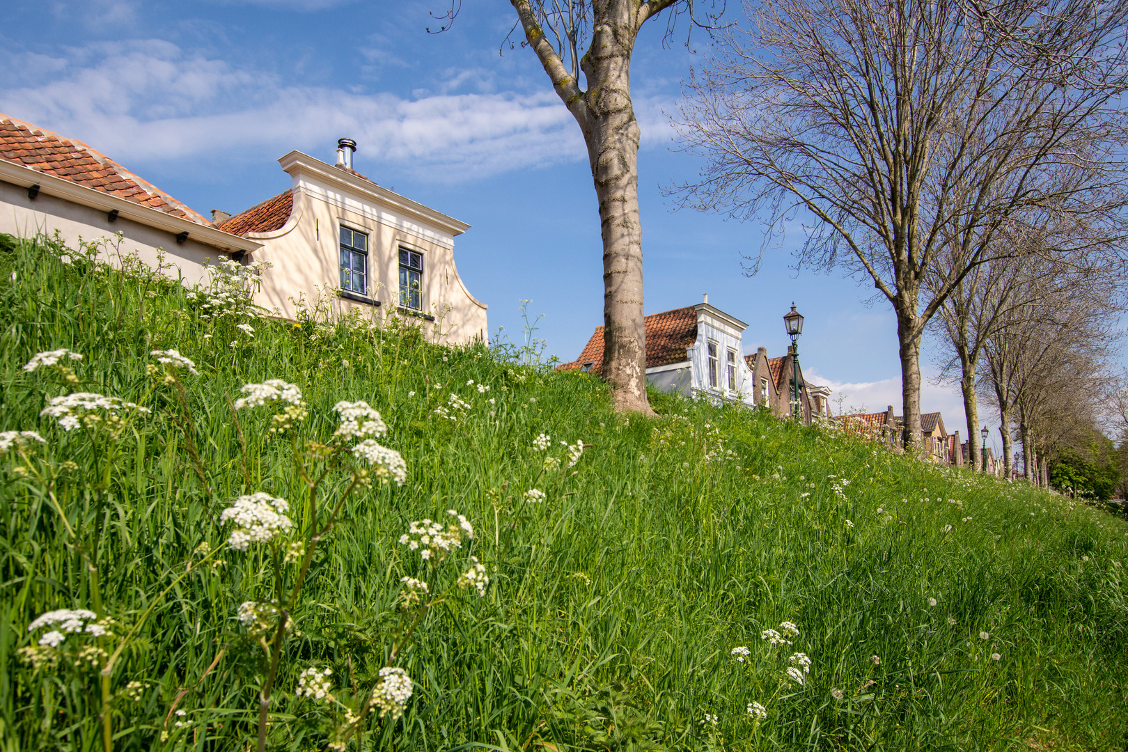 Middelharnis - Oostdijk - 01