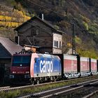 Middle Rhine Valley / Herbst im Mittelrheintal - SBB Cargo Containerzug bei Kaub