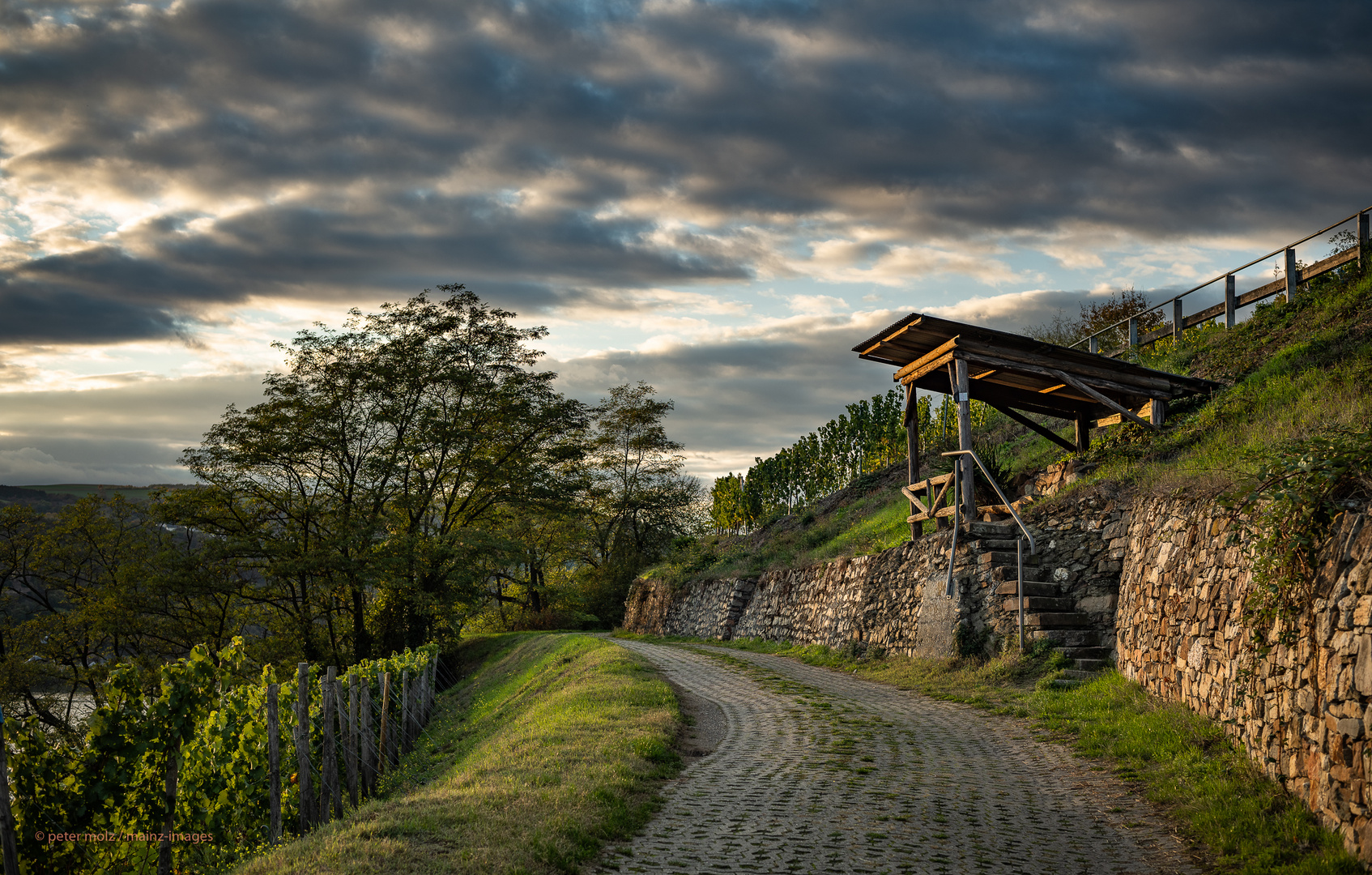 Middle Rhine Valley / Mittelrheintal - Aussichtspunkt in den Wingerten oberhalb von Lorch