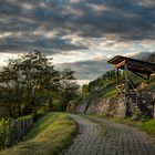 Middle Rhine Valley / Mittelrheintal - Aussichtspunkt in den Wingerten oberhalb von Lorch