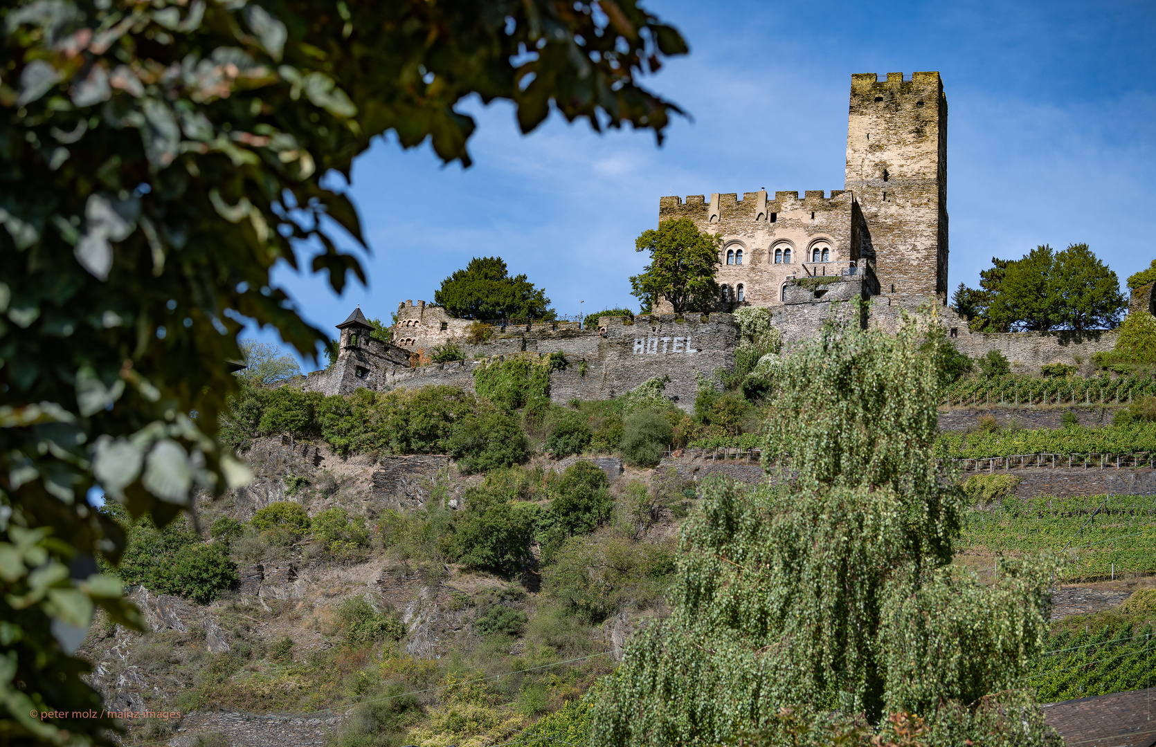 Middle Rhine Valley / Mittelrheintal - Burg Gutenfels bei Kaub