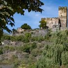 Middle Rhine Valley / Mittelrheintal - Burg Gutenfels bei Kaub