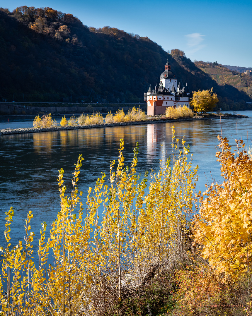 Middle Rhine Valley / Mittelrheintal - Die Burg Pfalzgrafenstein bei Kaub im Herbst 