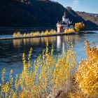 Middle Rhine Valley / Mittelrheintal - Die Burg Pfalzgrafenstein bei Kaub im Herbst 