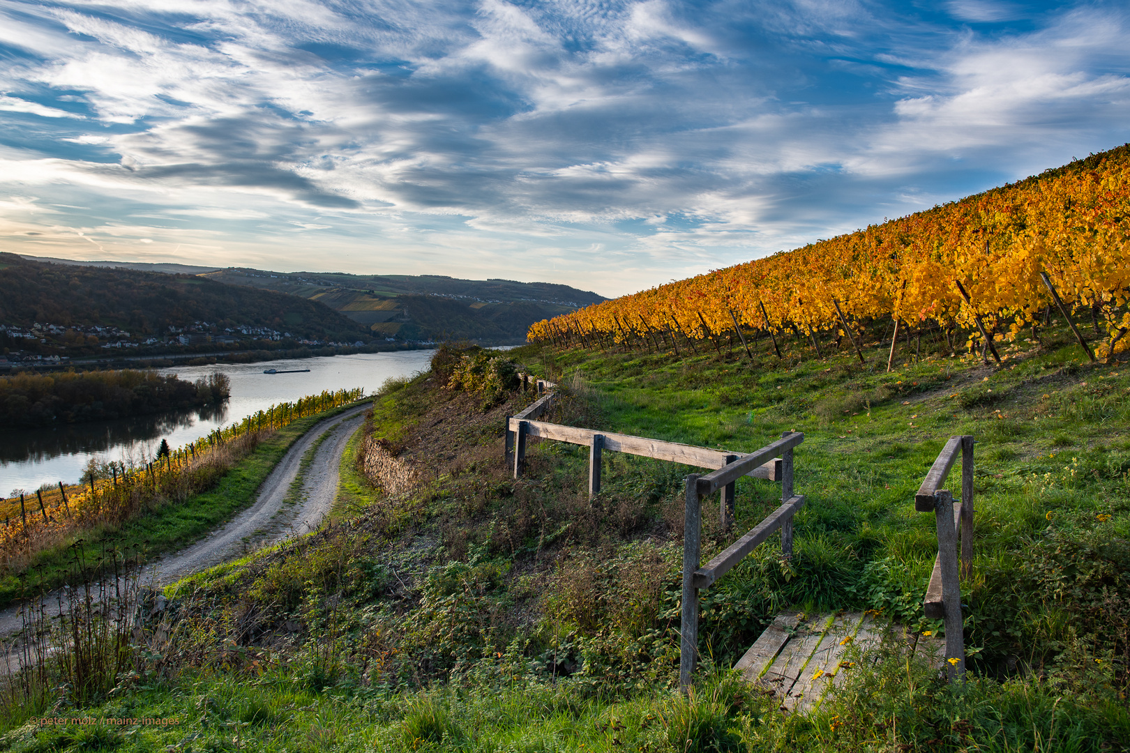 Middle Rhine Valley / Mittelrheintal - Herbstfärbung 2020 in den Wingerten (2)