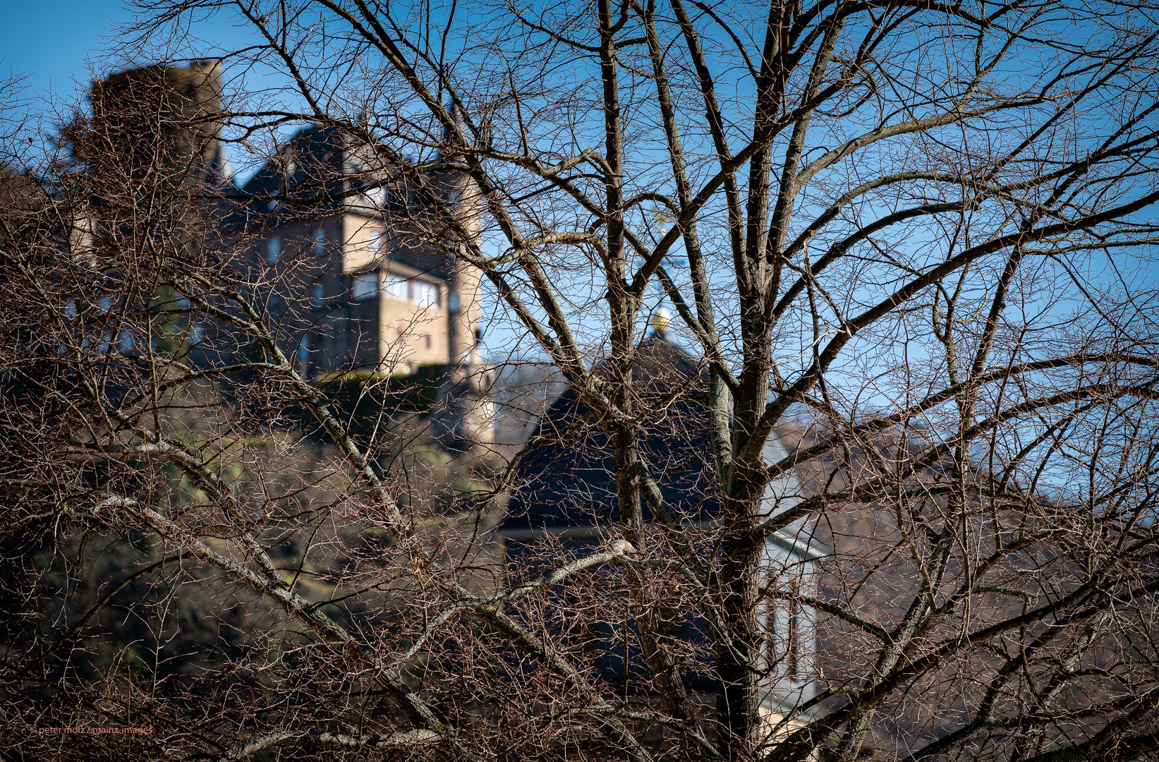 Middle Rhine Valley/Mittelrheintal - Blick durchs Geäst auf die "Katz"