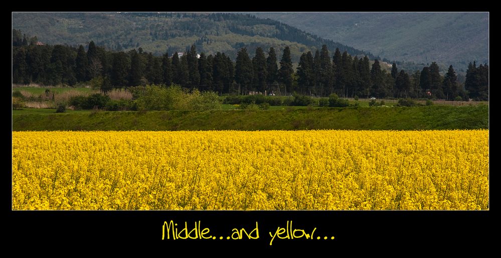 Middle....and yellow....