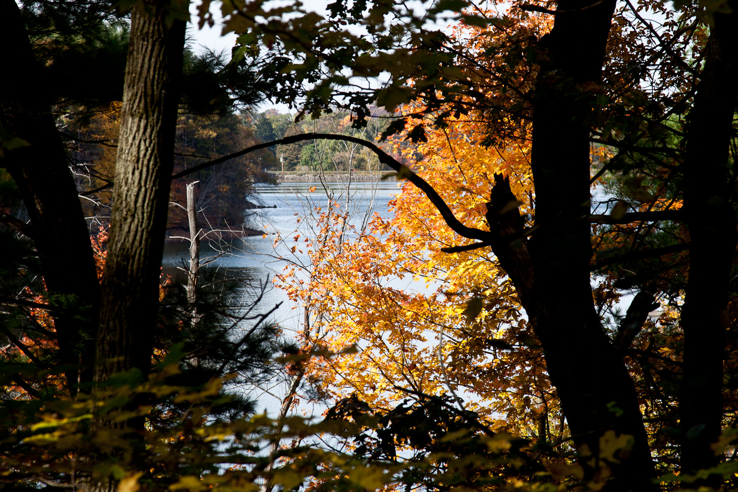 Middlesex Fells Reservation