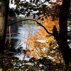 Middlesex Fells Reservation