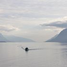 Midfjord bei Molde, Norwegen