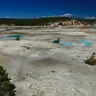 Midgeysir Basin