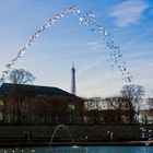 Midi dans les Tuileries