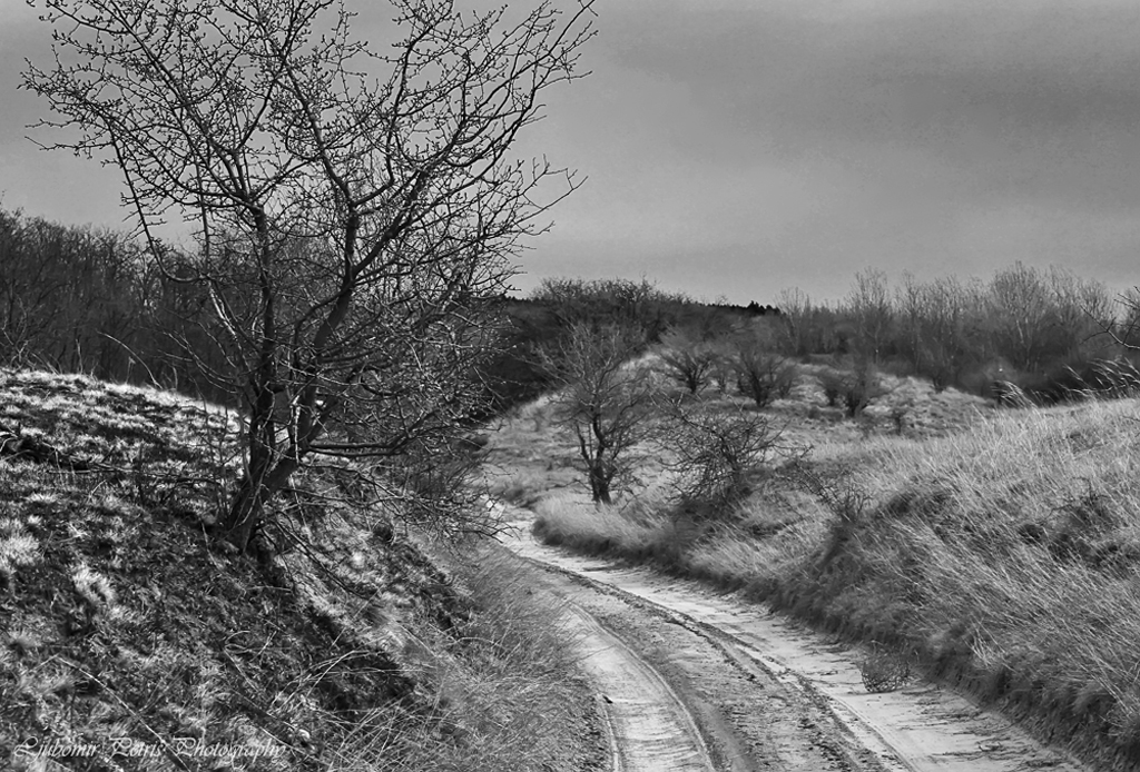 midnight dusty road