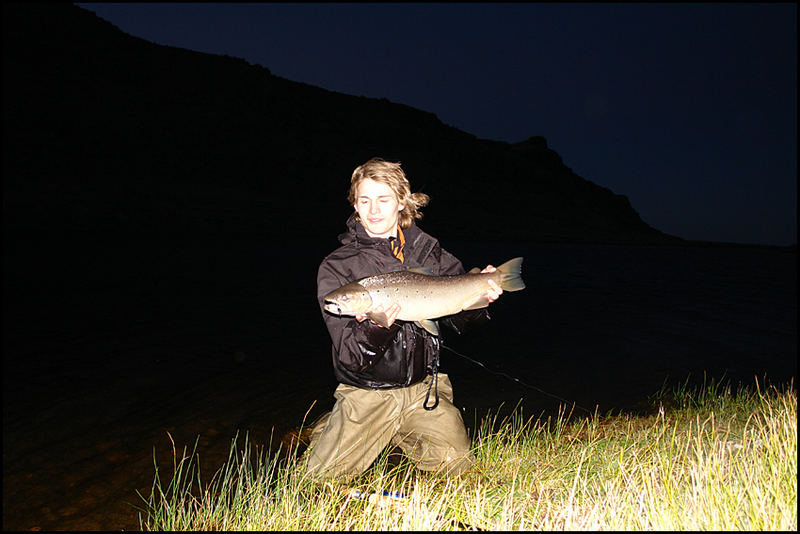 Midnight Seatrout